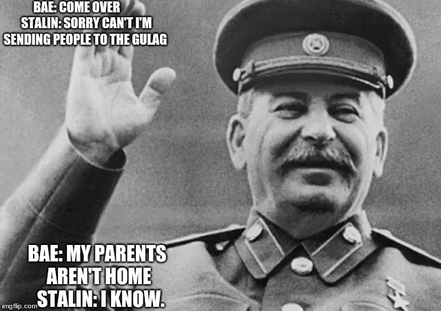 BAE: COME OVER
      
STALIN: SORRY CAN'T I'M SENDING PEOPLE TO THE GULAG; BAE: MY PARENTS AREN'T HOME 
STALIN: I KNOW. | image tagged in stalin,bae | made w/ Imgflip meme maker
