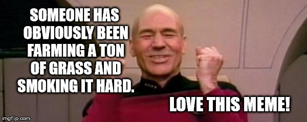 picard ftw | SOMEONE HAS OBVIOUSLY BEEN FARMING A TON OF GRASS AND SMOKING IT HARD. LOVE THIS MEME! | image tagged in picard ftw | made w/ Imgflip meme maker