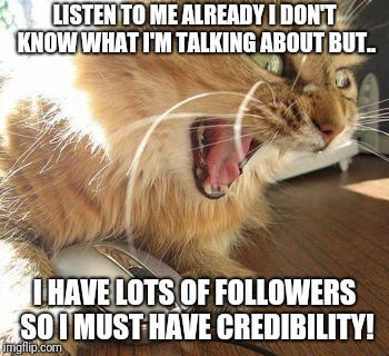 Followers don't make you right... | LISTEN TO ME ALREADY I DON'T KNOW WHAT I'M TALKING ABOUT BUT.. I HAVE LOTS OF FOLLOWERS SO I MUST HAVE CREDIBILITY! | image tagged in angry cat,memes | made w/ Imgflip meme maker