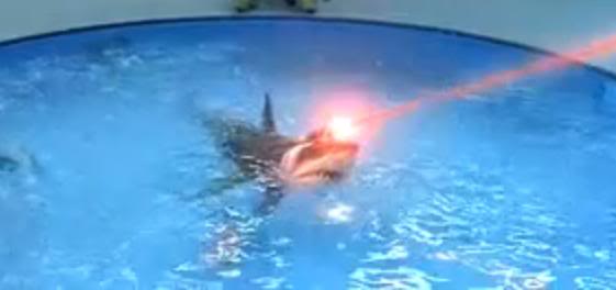 Laser Sharks Blank Meme Template