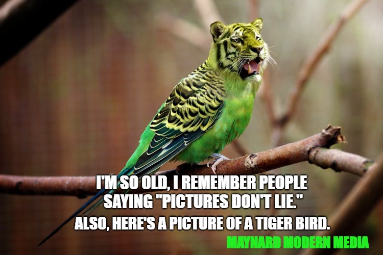 Tiger Bird | I'M SO OLD, I REMEMBER PEOPLE SAYING "PICTURES DON'T LIE."; ALSO, HERE'S A PICTURE OF A TIGER BIRD. MAYNARD MODERN MEDIA | image tagged in tiger bird | made w/ Imgflip meme maker