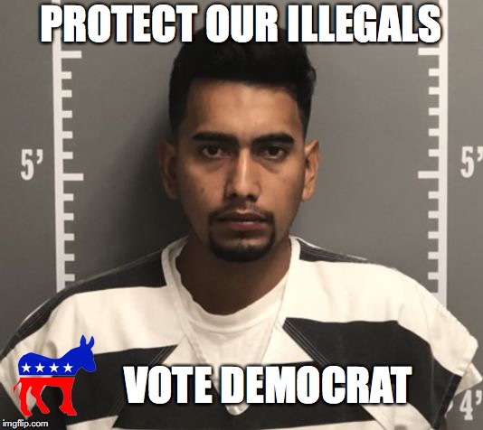 PROTECT OUR ILLEGALS; VOTE DEMOCRAT | image tagged in political meme,iowa,democrats | made w/ Imgflip meme maker