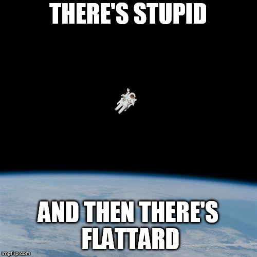 Astronaut | THERE'S STUPID AND THEN THERE'S FLATTARD | image tagged in astronaut | made w/ Imgflip meme maker