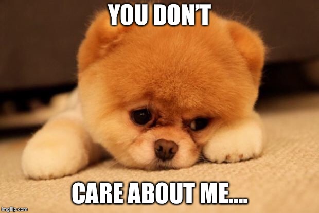 Sad puppy | YOU DON’T; CARE ABOUT ME.… | image tagged in sad puppy | made w/ Imgflip meme maker