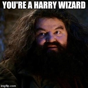 Harry Wizard | YOU'RE A HARRY WIZARD | image tagged in you're a wizard harry,harry potter meme | made w/ Imgflip meme maker