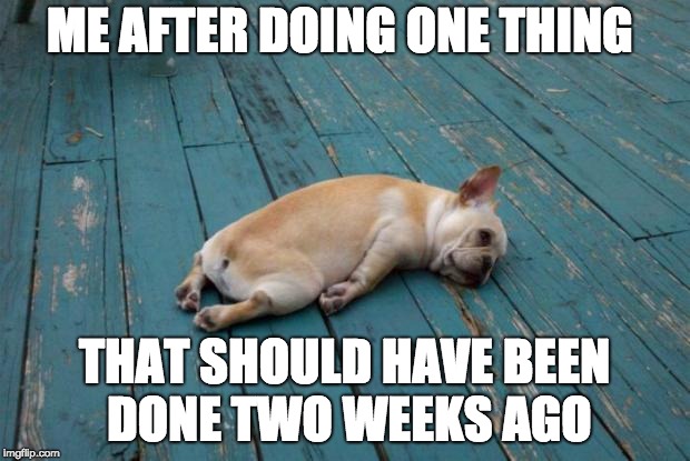 Tired dog | ME AFTER DOING ONE THING; THAT SHOULD HAVE BEEN DONE TWO WEEKS AGO | image tagged in tired dog | made w/ Imgflip meme maker
