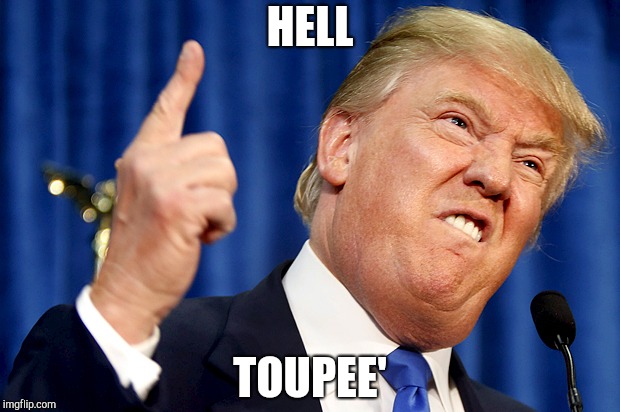 Donald Trump | HELL; TOUPEE' | image tagged in donald trump | made w/ Imgflip meme maker