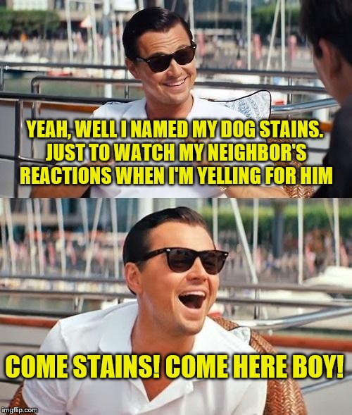 name that (wolf) dog | YEAH, WELL I NAMED MY DOG STAINS. JUST TO WATCH MY NEIGHBOR'S REACTIONS WHEN I'M YELLING FOR HIM; COME STAINS! COME HERE BOY! | image tagged in memes,leonardo dicaprio wolf of wall street | made w/ Imgflip meme maker