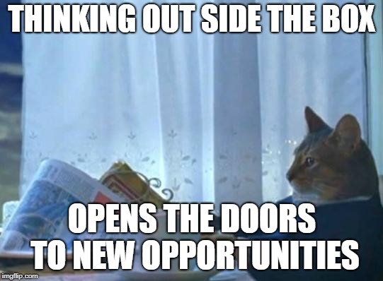 Cat newspaper | THINKING OUT SIDE THE BOX; OPENS THE DOORS TO NEW OPPORTUNITIES | image tagged in cat newspaper | made w/ Imgflip meme maker