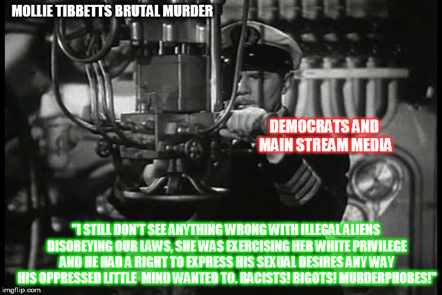 Up periscope | MOLLIE TIBBETTS BRUTAL MURDER DEMOCRATS AND MAIN STREAM MEDIA "I STILL DON'T SEE ANYTHING WRONG WITH ILLEGAL ALIENS DISOBEYING OUR LAWS, SHE | image tagged in up periscope | made w/ Imgflip meme maker