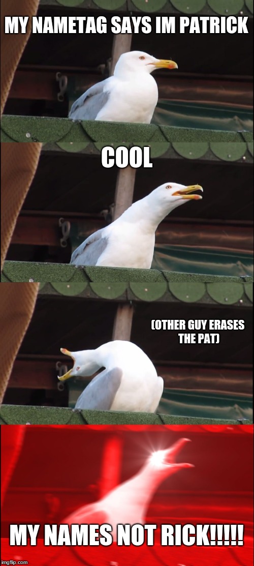 Inhaling Seagull Meme | MY NAMETAG SAYS IM PATRICK; COOL; (OTHER GUY ERASES THE PAT); MY NAMES NOT RICK!!!!! | image tagged in memes,inhaling seagull | made w/ Imgflip meme maker