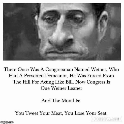 The Rise and Fall of Anthony Weiner | image tagged in one weiner leaner,anthony weiner,perverted democrats | made w/ Imgflip meme maker