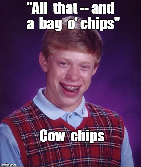Bad Luck Brian Meme | "All  that -- and  a  bag  o' chips"; Cow  chips | image tagged in memes,bad luck brian,nsfw | made w/ Imgflip meme maker