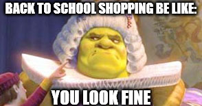 BACK TO SCHOOL SHOPPING BE LIKE:; YOU LOOK FINE | image tagged in shrek,back to school | made w/ Imgflip meme maker