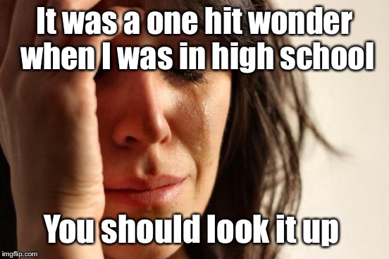 First World Problems Meme | It was a one hit wonder when I was in high school You should look it up | image tagged in memes,first world problems | made w/ Imgflip meme maker