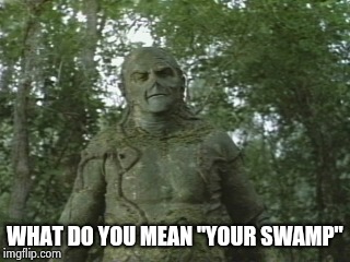 Swamp thing  | WHAT DO YOU MEAN "YOUR SWAMP" | image tagged in swamp thing | made w/ Imgflip meme maker