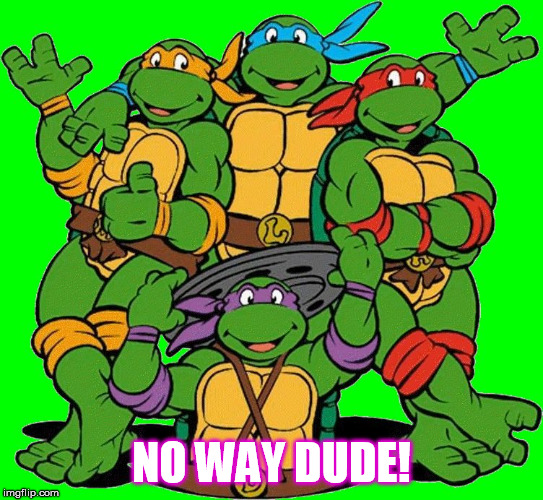 Ninja Turtles | NO WAY DUDE! | image tagged in ninja turtles | made w/ Imgflip meme maker