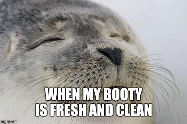 Satisfied Seal Meme | WHEN MY BOOTY IS FRESH AND CLEAN | image tagged in memes,satisfied seal | made w/ Imgflip meme maker