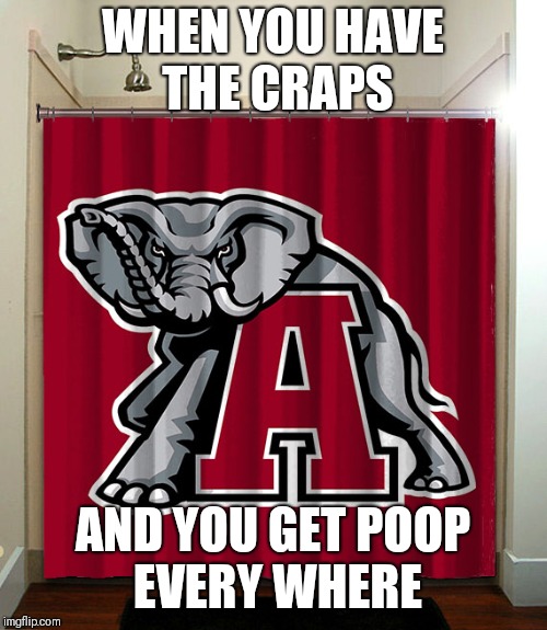 WHEN YOU HAVE THE CRAPS; AND YOU GET POOP EVERY WHERE | image tagged in alabama | made w/ Imgflip meme maker