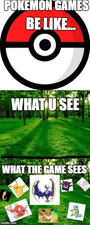 Its SOOOOO annoying | POKEMON GAMES; BE LIKE... WHAT U SEE; WHAT THE GAME SEES | image tagged in pokemon,game,greener grass | made w/ Imgflip meme maker