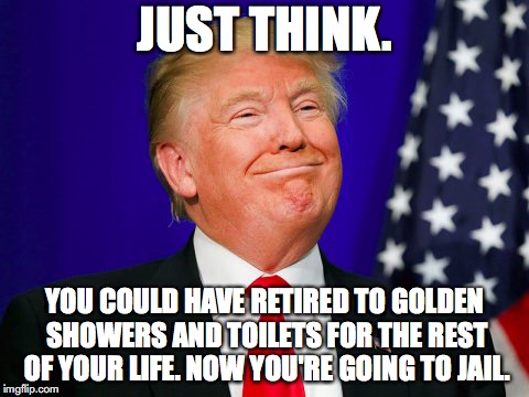 Trump Smile | JUST THINK. YOU COULD HAVE RETIRED TO GOLDEN SHOWERS AND TOILETS FOR THE REST OF YOUR LIFE. NOW YOU'RE GOING TO JAIL. | image tagged in trump smile | made w/ Imgflip meme maker