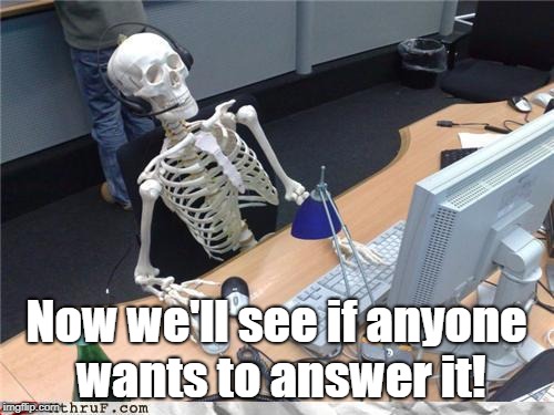 skeletoncomputer | Now we'll see if anyone wants to answer it! | image tagged in skeletoncomputer | made w/ Imgflip meme maker
