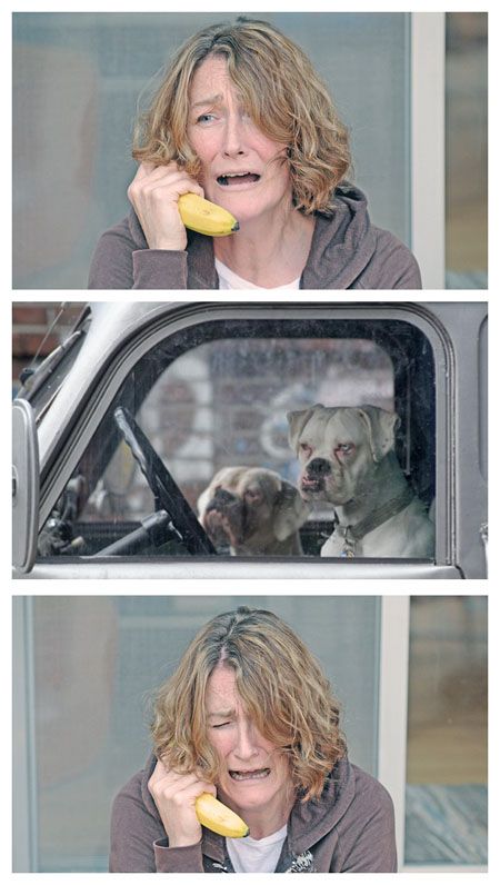 High Quality Bad News Banana Phone Dogs Blank Meme Template