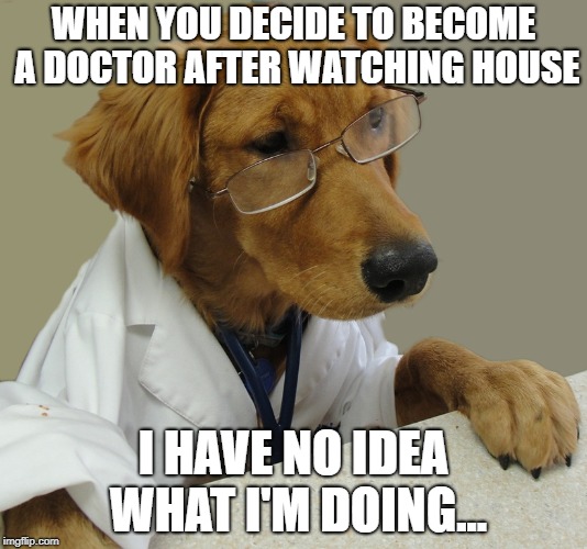 WHEN YOU DECIDE TO BECOME A DOCTOR AFTER WATCHING HOUSE; I HAVE NO IDEA WHAT I'M DOING... | image tagged in house,housemd,doctor,ihavenoideawhatimdoing | made w/ Imgflip meme maker