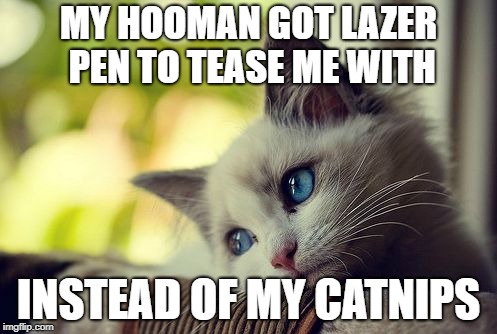 First World Problems Cat | MY HOOMAN GOT LAZER PEN TO TEASE ME WITH; INSTEAD OF MY CATNIPS | image tagged in memes,first world problems cat | made w/ Imgflip meme maker