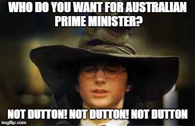 Who do you want for Australian Prime Minister?
Not Dutton!
#auspol #libsplit #libspill | WHO DO YOU WANT FOR AUSTRALIAN PRIME MINISTER? NOT DUTTON! NOT DUTTON! NOT DUTTON | image tagged in sorting hat | made w/ Imgflip meme maker