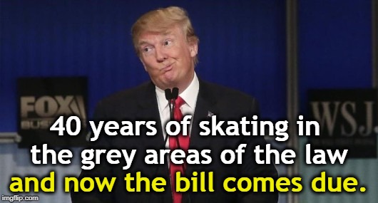 Humpty Dumpty is having a cracking good time. | 40 years of skating in the grey areas of the law; and now the bill comes due. | image tagged in law,trump | made w/ Imgflip meme maker