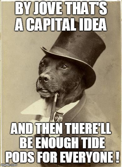 Old Money Dog | BY JOVE THAT'S A CAPITAL IDEA AND THEN THERE'LL BE ENOUGH TIDE PODS FOR EVERYONE ! | image tagged in old money dog | made w/ Imgflip meme maker