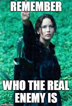 Hunger games | REMEMBER WHO THE REAL ENEMY IS | image tagged in hunger games | made w/ Imgflip meme maker