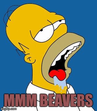 Homer Drooling | MMM BEAVERS | image tagged in homer drooling | made w/ Imgflip meme maker
