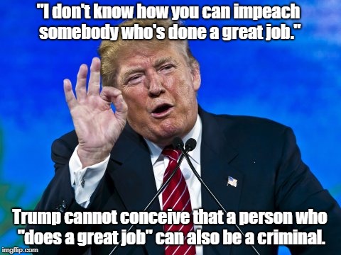 "I don't know how you can impeach somebody who's done a great job." Trump cannot conceive that a person who "does a great job" can also be a | made w/ Imgflip meme maker