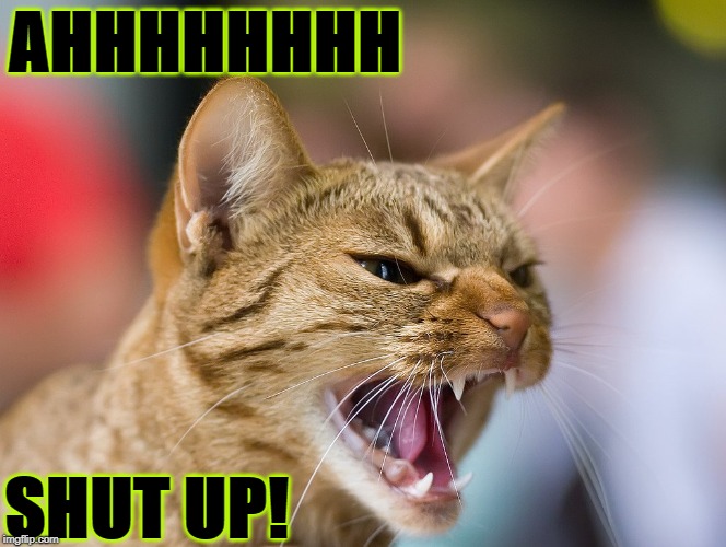 AHHHHHHHH; SHUT UP! | image tagged in shut up | made w/ Imgflip meme maker