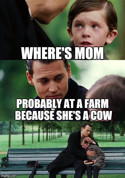 Finding Neverland | WHERE'S MOM; PROBABLY AT A FARM BECAUSE SHE'S A COW | image tagged in memes,finding neverland | made w/ Imgflip meme maker