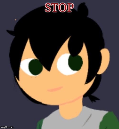 STOP | image tagged in stop,pls | made w/ Imgflip meme maker