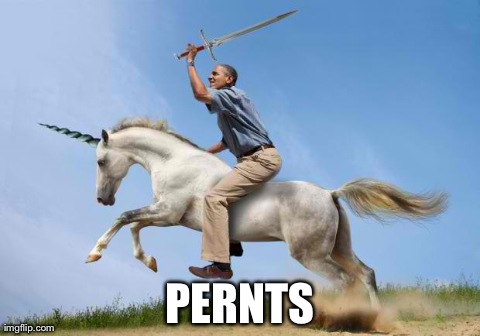PERNTS | image tagged in obama unicorn | made w/ Imgflip meme maker
