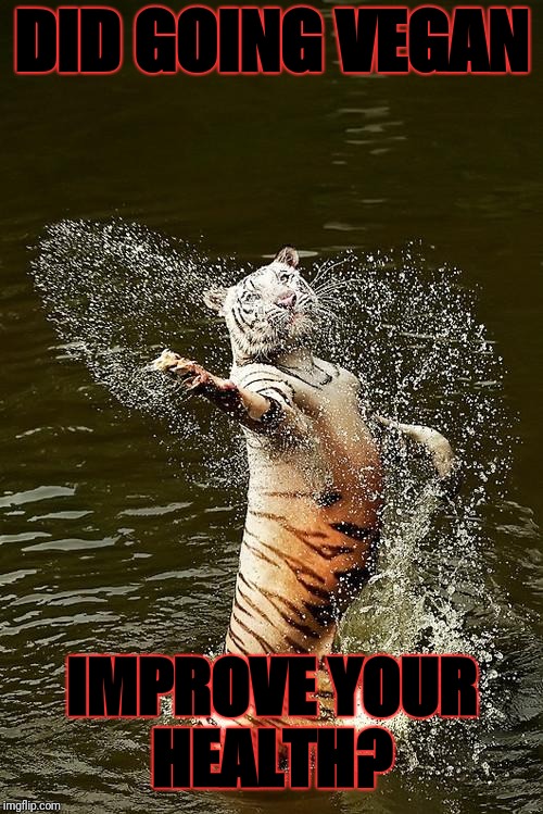 Fabulous Tiger | DID GOING VEGAN; IMPROVE YOUR HEALTH? | image tagged in fabulous tiger | made w/ Imgflip meme maker