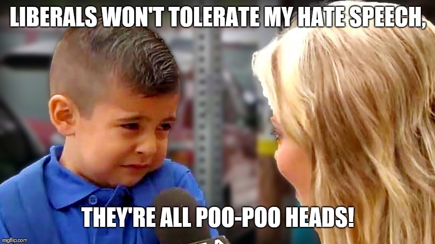 Wahhh! | LIBERALS WON'T TOLERATE MY HATE SPEECH, THEY'RE ALL POO-POO HEADS! | image tagged in wahhh | made w/ Imgflip meme maker