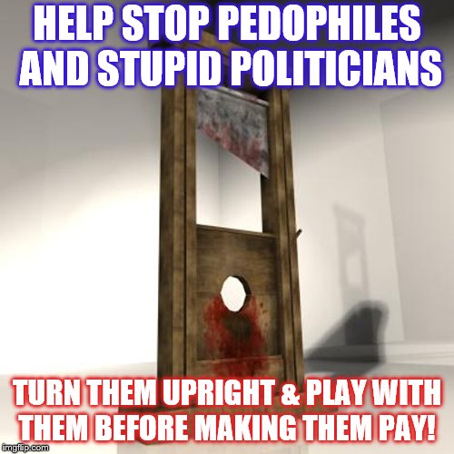 guillotine | HELP STOP PEDOPHILES AND STUPID POLITICIANS; TURN THEM UPRIGHT & PLAY WITH THEM BEFORE MAKING THEM PAY! | image tagged in guillotine | made w/ Imgflip meme maker
