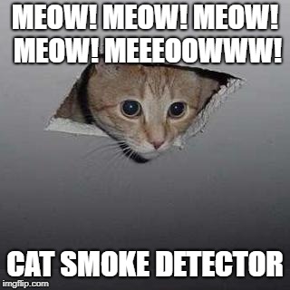 Ceiling Cat | MEOW! MEOW! MEOW! MEOW! MEEEOOWWW! CAT SMOKE DETECTOR | image tagged in memes,ceiling cat | made w/ Imgflip meme maker