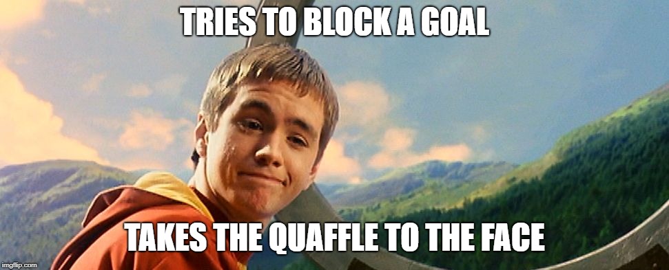 Harry Potter Wood | TRIES TO BLOCK A GOAL; TAKES THE QUAFFLE TO THE FACE | image tagged in harry potter wood | made w/ Imgflip meme maker