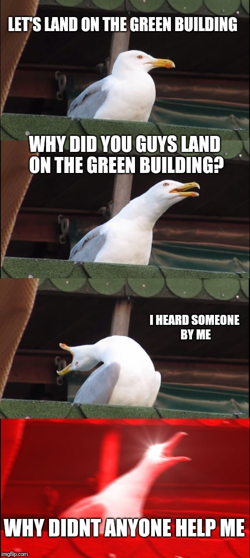 Inhaling Seagull Meme | LET'S LAND ON THE GREEN BUILDING; WHY DID YOU GUYS LAND ON THE GREEN BUILDING? I HEARD SOMEONE BY ME; WHY DIDNT ANYONE HELP ME | image tagged in memes,inhaling seagull | made w/ Imgflip meme maker