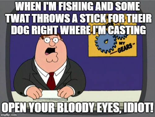Is it just me or.... | WHEN I'M FISHING AND SOME TWAT THROWS A STICK FOR THEIR DOG RIGHT WHERE I'M CASTING; OPEN YOUR BLOODY EYES, IDIOT! | image tagged in memes,peter griffin news,fishing,idiots | made w/ Imgflip meme maker