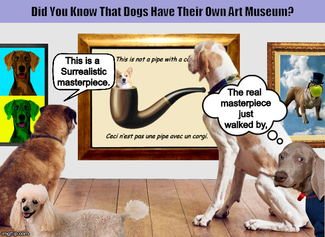 Did You Know That Dogs Have Their Own Art Museum? | image tagged in dogs,animals,art,museum,funny,memes | made w/ Imgflip meme maker