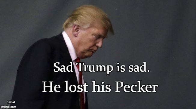Trump Lost His Pecker | Sad Trump is sad. He lost his Pecker; SFW | image tagged in resist,donald trump,pecker,trump | made w/ Imgflip meme maker