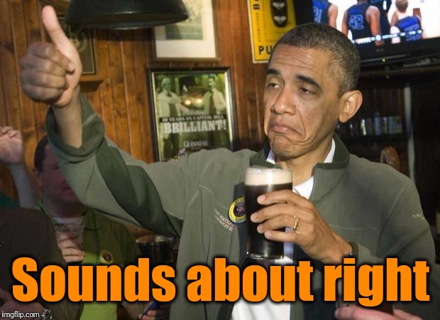 Obama beer | Sounds about right | image tagged in obama beer | made w/ Imgflip meme maker