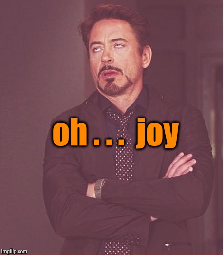 Face You Make Robert Downey Jr Meme | oh . . .  joy | image tagged in memes,face you make robert downey jr | made w/ Imgflip meme maker